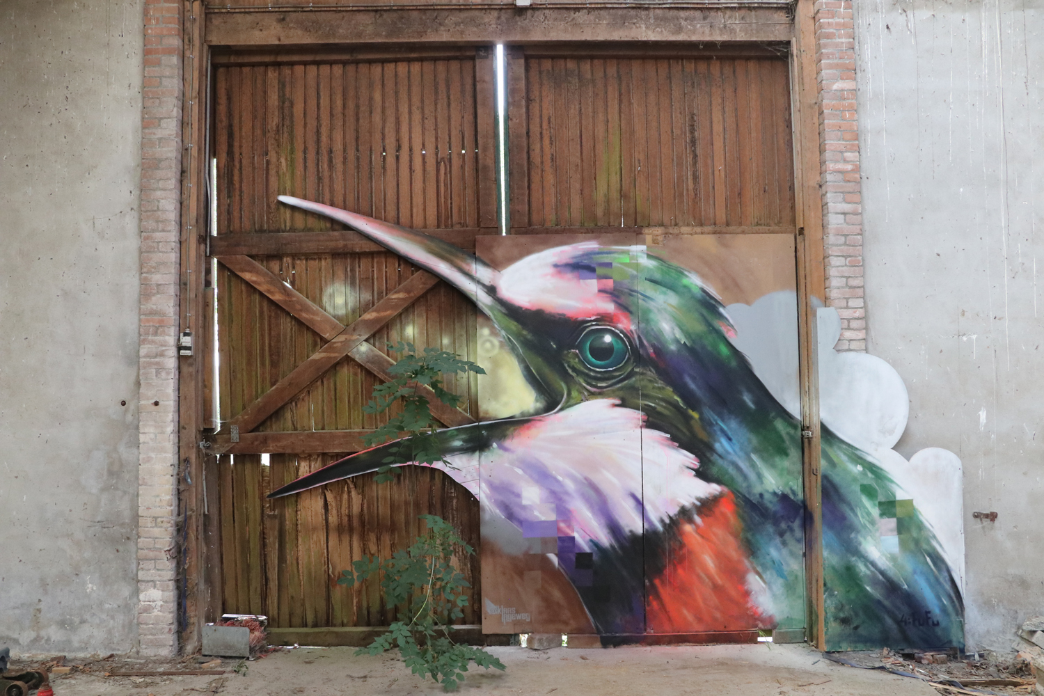 Bek Door, 2026