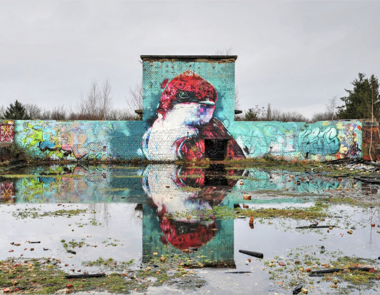 Action speaks louder than words