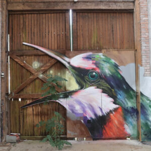Bek Door, 2026
