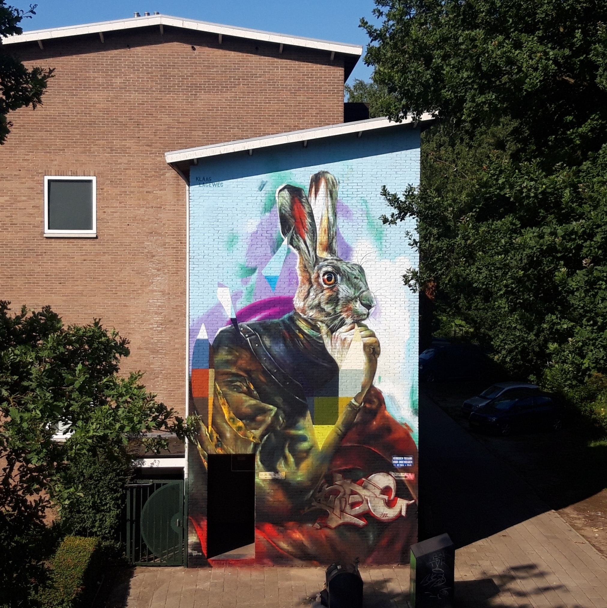 Visual Artist / Muralist / Painter